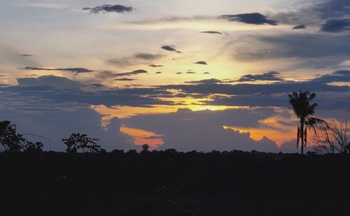 Scenic view of silhouette trees against sky during sunset