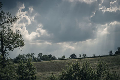 Panoramic view of field against sky