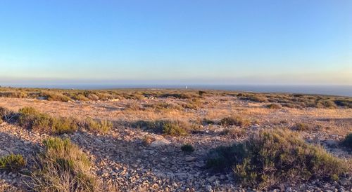 Scenic view of landscape against clear sky