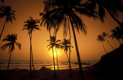 Silhouette palm trees on beach against sky during sunset