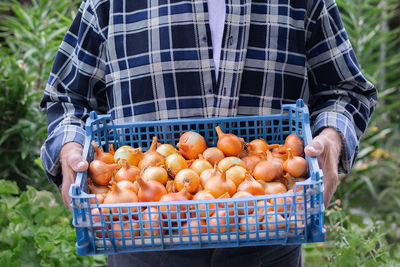 Midsection of man holding apples in basket