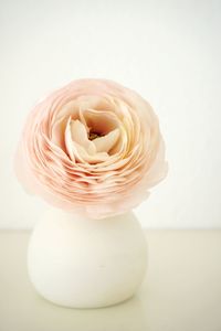Close-up of white flower on table