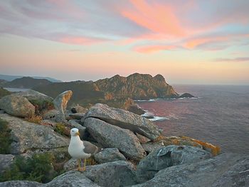 Scenic view of sea against sky at sunset