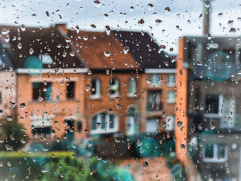 View of rainy day from house