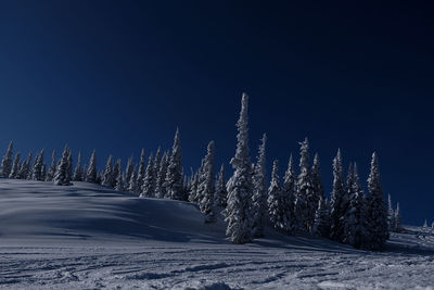 Sunny winter morning in the mountains of sheregesh on the ski track