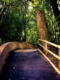 View of trees