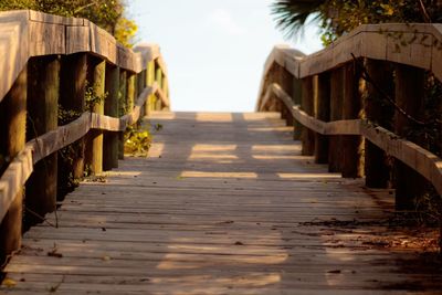 Narrow footbridge along trees