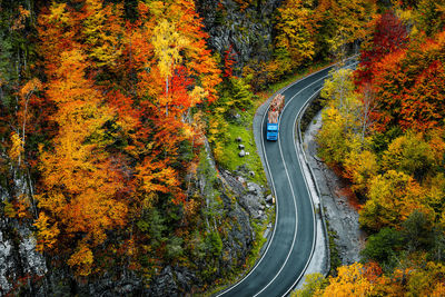 High angle view of road amidst trees