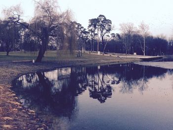 Reflection of trees in water