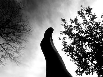 Low angle view of silhouette woman against sky
