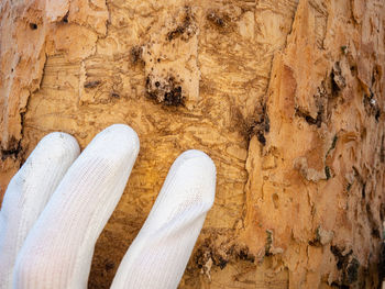 Close-up of shoes on wood