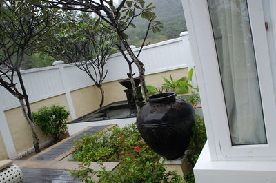 Potted plants in building