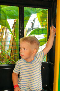 Cute boy looking away while sitting indoors