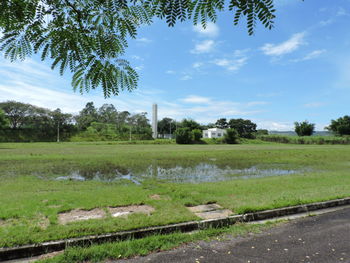 Scenic view of field against sky