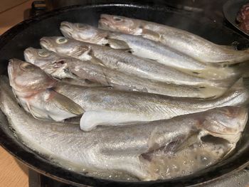 High angle view of fish in container