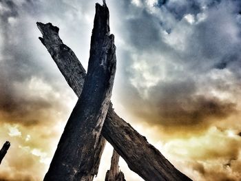 Low angle view of tree against sky