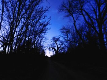 Silhouette trees against sky at night