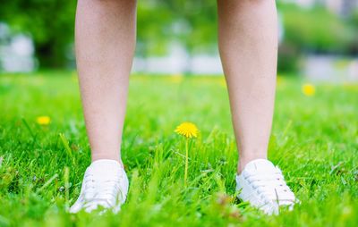 Flower in between legs 