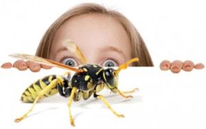 insect, white background, child, one animal, one person, close-up, full length, studio shot, portrait, animal themes, children only, spider, people, crustacean, human body part, sea life, nature, indoors, day