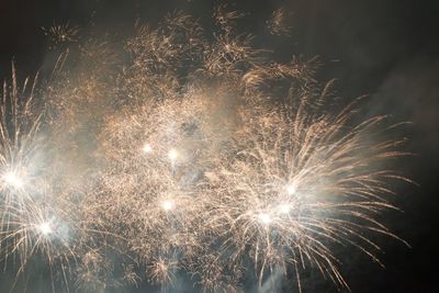 Low angle view of firework display at night