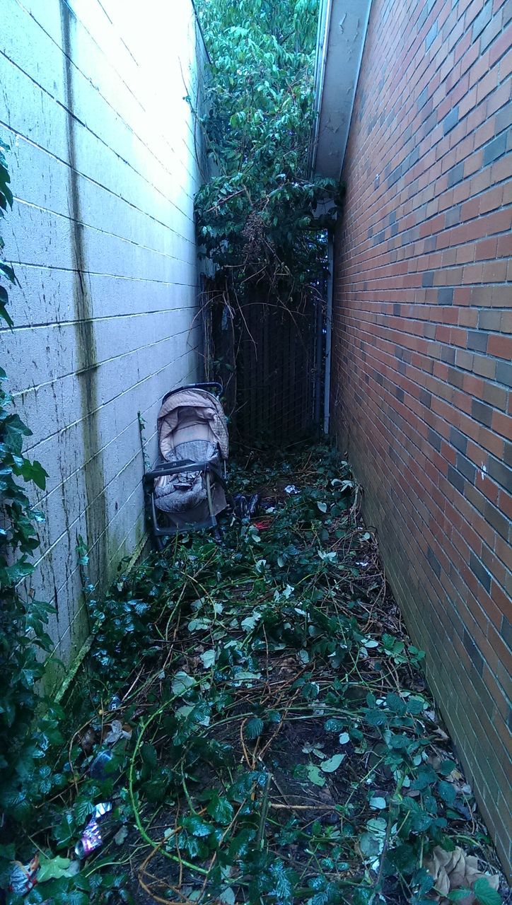 built structure, architecture, plant, tree, growth, wall - building feature, building exterior, abandoned, potted plant, day, house, leaf, indoors, front or back yard, ivy, no people, messy, window, glass - material