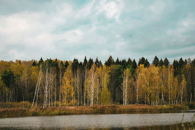 Scenic view of lake against trees in forest against sky