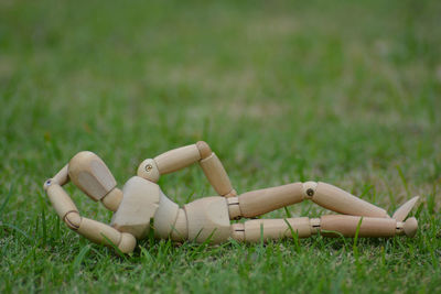 Close-up of stuffed toy on field