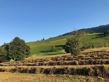 Scenic view of land against clear sky