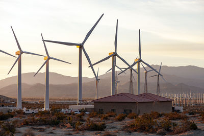 Wind turbines in the late afternoon sunlight near palm springs, california