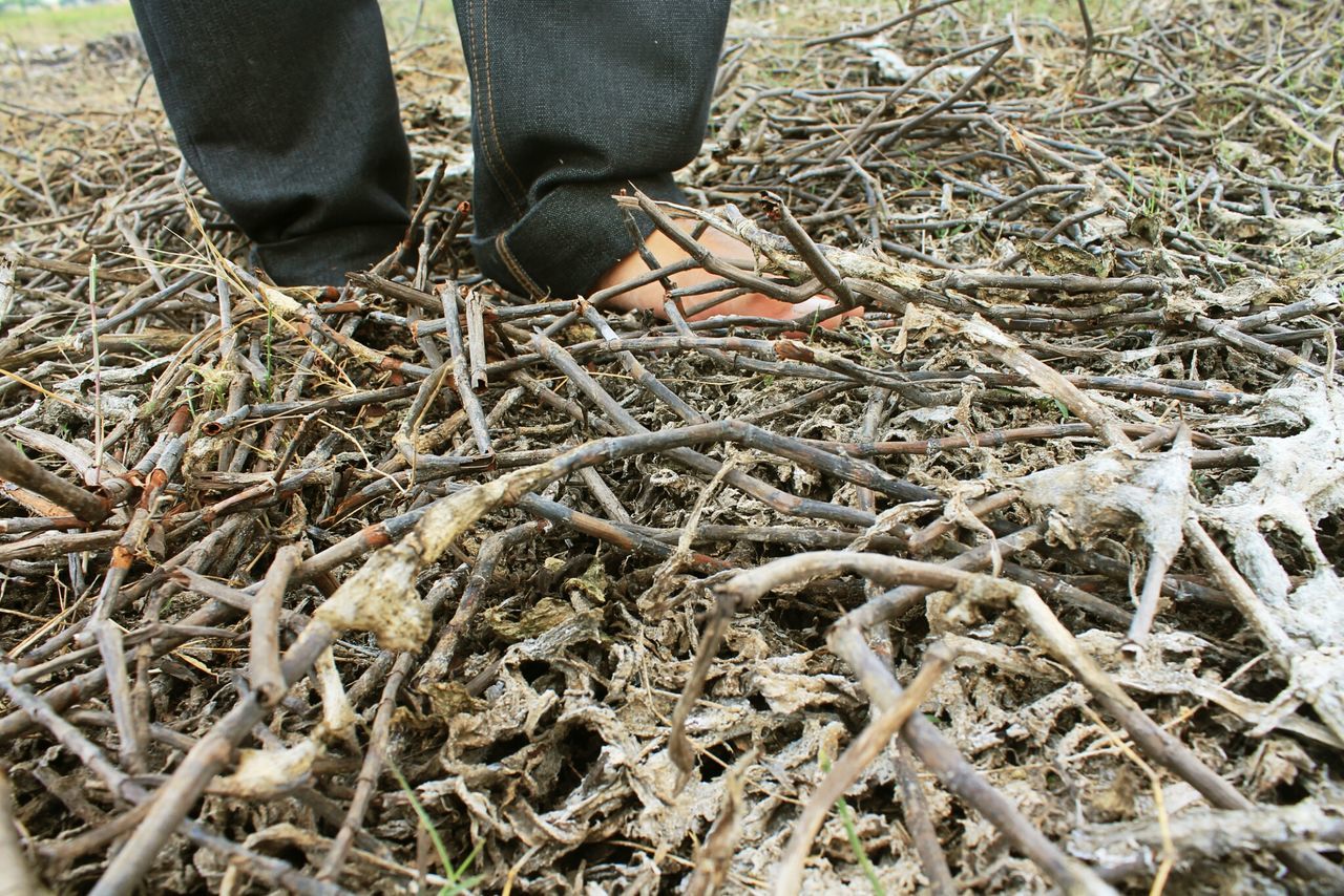 high angle view, field, low section, grass, dry, shoe, outdoors, wood - material, nature, day, person, dirt, tree trunk, messy, part of, close-up, abundance, standing