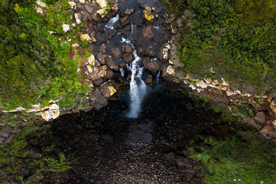 Stream flowing through rocks in forest