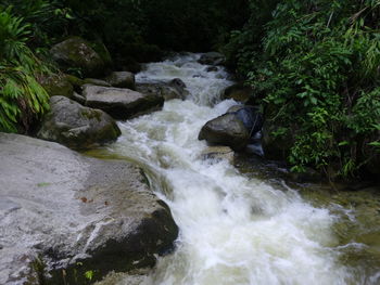 Scenic view of waterfall