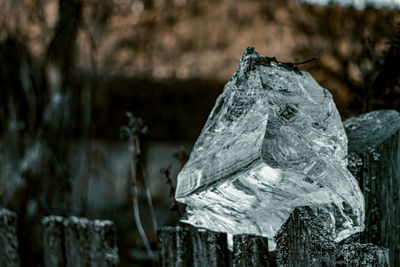 Ice Photography