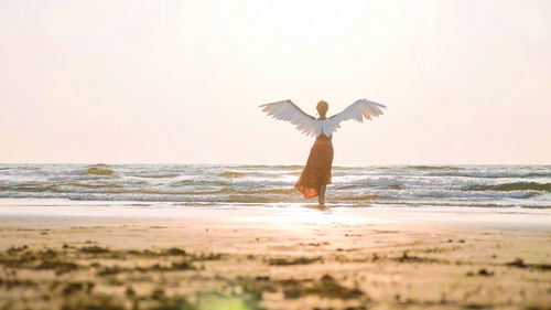 Seagull flying over beach