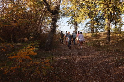 Rear view of people walking in forest during autumn