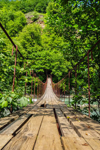 Footbridge amidst trees