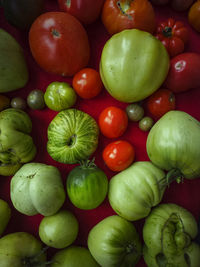 Full frame shot of tomatoes