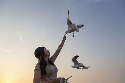 Low angle view of seagulls flying against sky