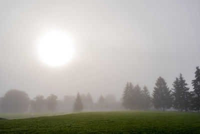 Scenic view of field against sky