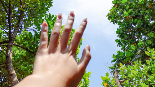 Low section of person against tree