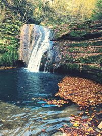 Scenic view of waterfall in forest