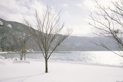 Bare tree by mountain against sky during winter