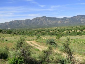 Scenic view of field with dirt road against sky