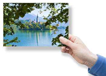 Midsection of person holding plants against sky