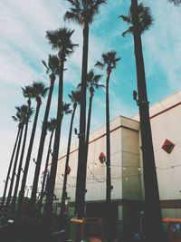 Low angle view of palm trees against cloudy sky