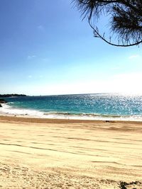 Scenic view of beach against blue sky