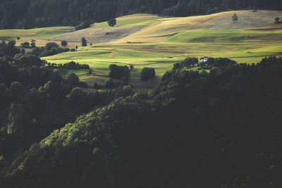 High angle view of green landscape