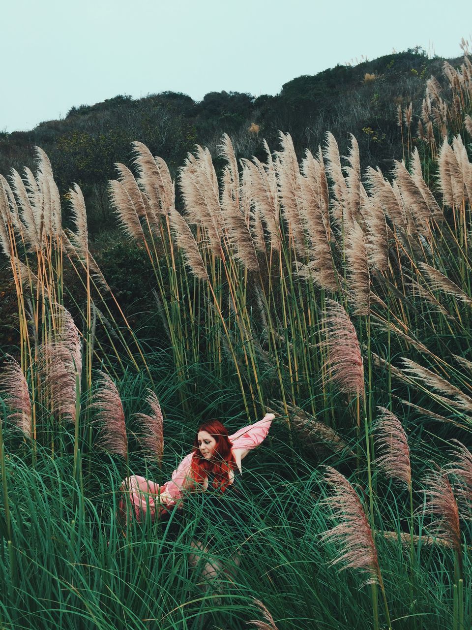 grass, field, plant, growth, nature, clear sky, grassy, tranquility, landscape, day, beauty in nature, outdoors, sky, rock - object, green color, non-urban scene, tranquil scene, no people, sunlight, relaxation