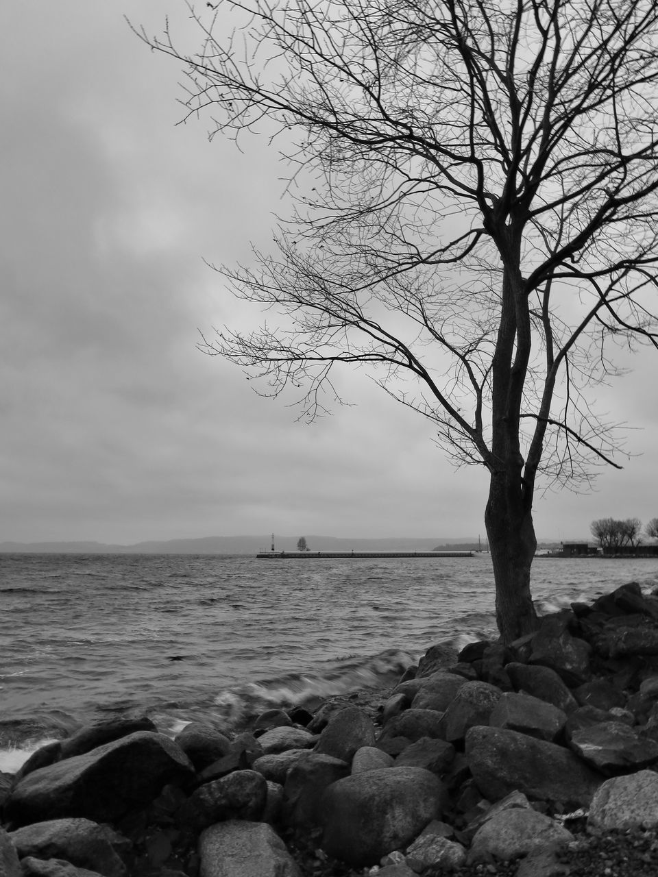 water, sky, tranquility, tranquil scene, sea, rock - object, scenics, bare tree, nature, beauty in nature, horizon over water, tree, cloud - sky, stone - object, branch, cloud, shore, idyllic, silhouette, outdoors