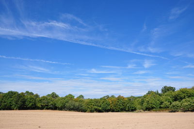 Trees on landscape against blue sky